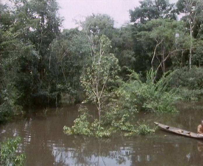 BBC Natural World - Amazon the Flooded Forest (1989)