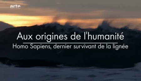 (Arte) Aux origines de l'humanité (3 sur 3) Homo Sapiens, dernier survivant de la lignée (2010)