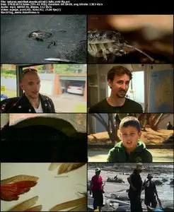 BBC: Natures Weirdest Events S01E01