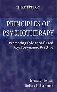 Principles of Psychotherapy: Promoting Evidence-Based Psychodynamic Practice