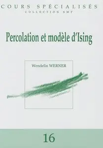 Percolation et modèle d'Ising