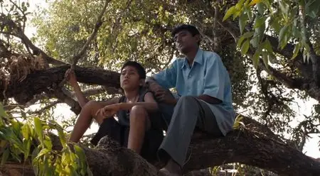 The Pool (2007)