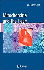 Mitochondria and the Heart