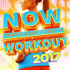 VA - NOW That's What I Call a Workout 2017 (2016)