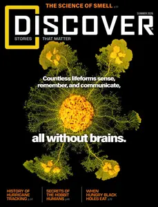 Discover - Summer 2026