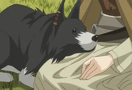 spice and wolf 12