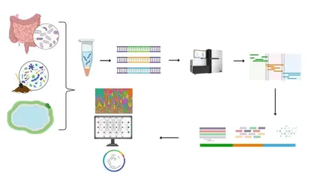 Master Metagenomics and Microbiome Data Analysis Using Linux