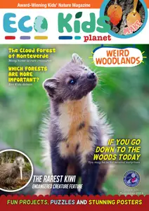 Eco Kids Planet Magazine - November 2024