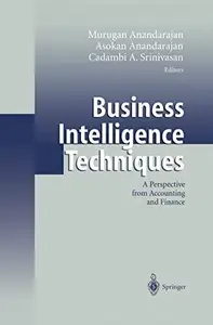 Business Intelligence Techniques: A Perspective from Accounting and Finance