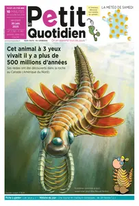Le Petit Quotidien - 20 Juin 2025