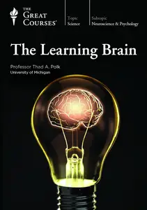 TTC Video - The Learning Brain [720p]