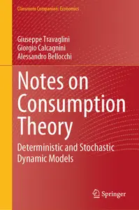 Notes on Consumption Theory: Deterministic and Stochastic Dynamic Models (Classroom Companion: Economics)