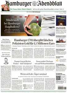 Hamburger Abendblatt  - 29 November 2024