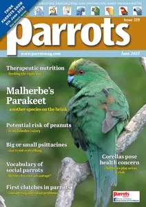 Parrots - June 2025