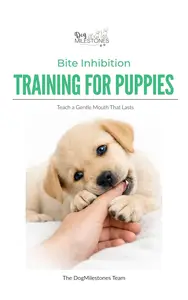 Bite Inhibition Training for Puppies: Teach a Gentle Mouth That Lasts