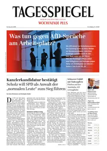 Der Tagesspiegel - 12 Januar 2025