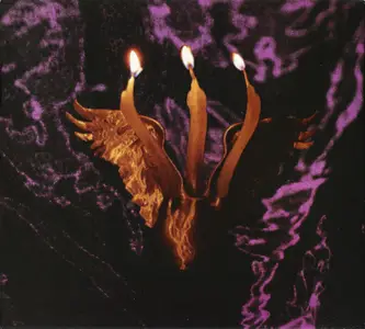 Shmulikraut - Guts Voyage (2025)