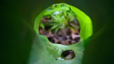 Tiny World S01E02