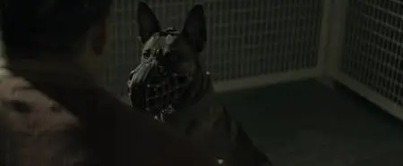 Dog (2022)