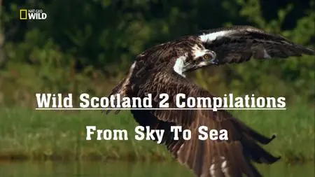 NG. - Wild Scotland 2 Compilations: From Sky To Sea (2018)