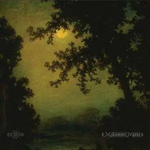 John Zorn - Midsummer Moons (2017)