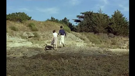 Mon oncle d'Amérique / My American Uncle - by Alain Resnais (1980)