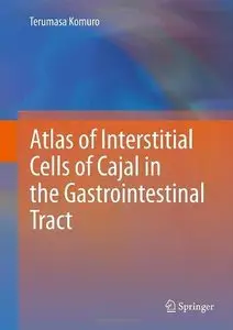 Atlas of Interstitial Cells of Cajal in the Gastrointestinal Tract (Repost)