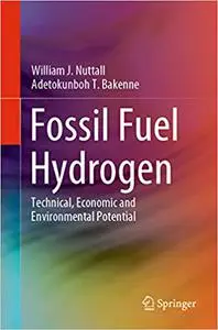 Fossil Fuel Hydrogen: Technical, Economic and Environmental Potential (Repost)