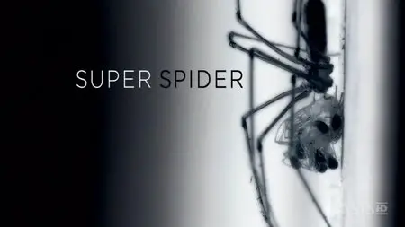 Arte - Super Spider (2012)