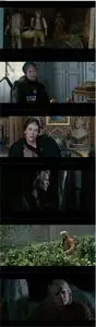 The Vintner's Luck (2009)