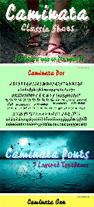 CM - Caminata Fonts 1596528