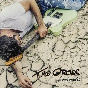 Timo Gross - Landmarks (2013)