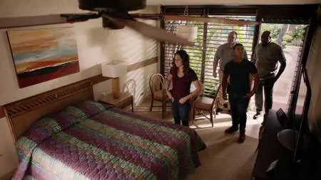 Hawaii Five-0 S08E21