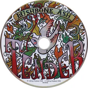 Wishbone Ash - Tender (2008)