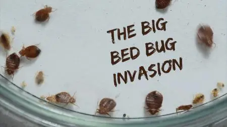 CH5. - The Big Bed-Bug Invasion (2023)