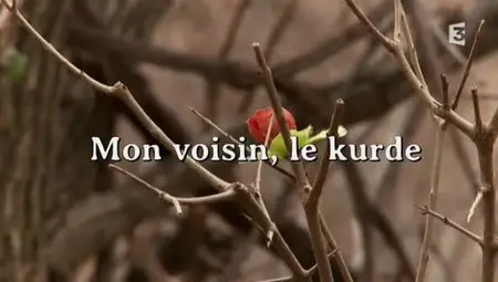 (Fr3) Mon voisin, le Kurde (2012)