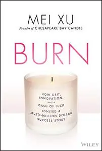 Burn: How Grit, Innovation, and a Dash of Luck Ignited a Multi-Million Dollar Success Story