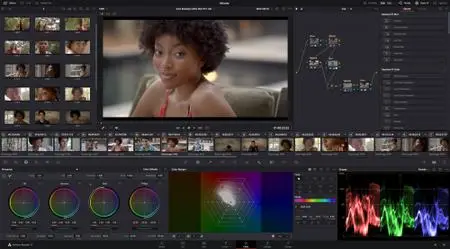 Blackmagic Design DaVinci Resolve Studio 17b1 macOs