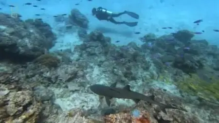 NG Access 360° World Heritage - The Best Of Access 360° (2013)