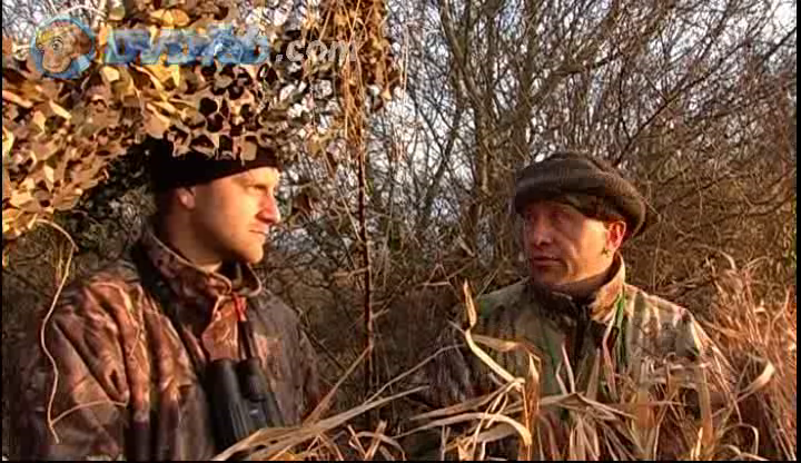 Chasses Modernes Du Migrateur Oies Et Canar