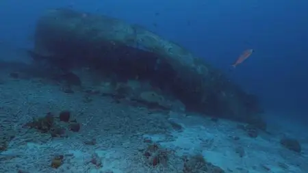 Reef Wrecks (2017)