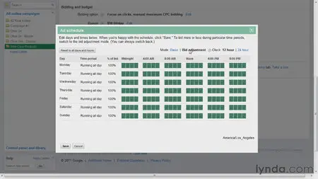 Google AdWords Essential Training