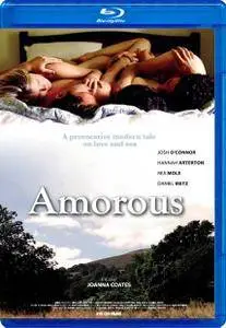 Amorous / Hide and Seek (2014)