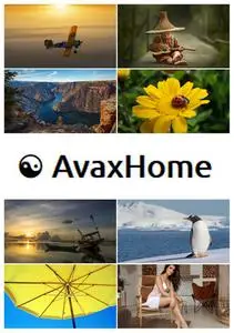 AvaxHome Wallpapers Part 88