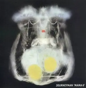 Journeyman - 2 Studio Albums (1994-1997)