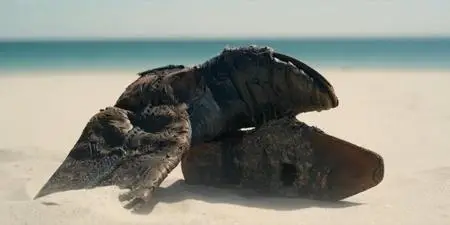 BBC - The Beach: Isolation in Paradise (2020)