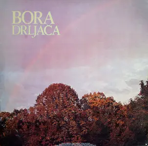Bora Drljaca - (1981) RTB 2110490 (24bit/96kHz + CD format)