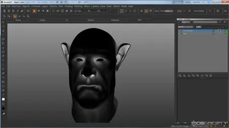CGWorkshops - Realistic Character Texture Painting in Mari 2.0