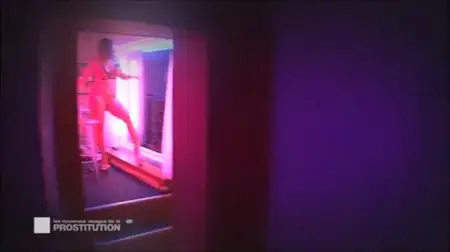 Les nouveaux visages de la prostitution (2012)