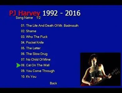 PJ Harvey: 1992 - 2016 (2018) [Audio DVD] Re-up